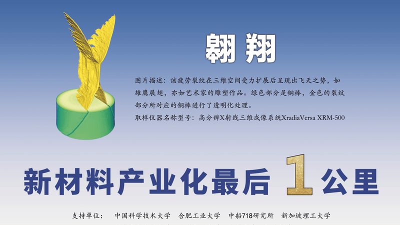 酿造酱油防腐剂用量多少：合规与安全的平衡之道