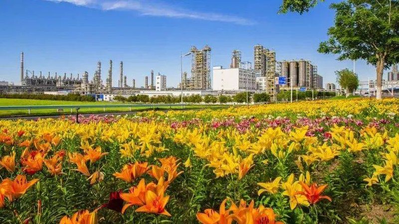 涂料树脂加盟代理哪家好